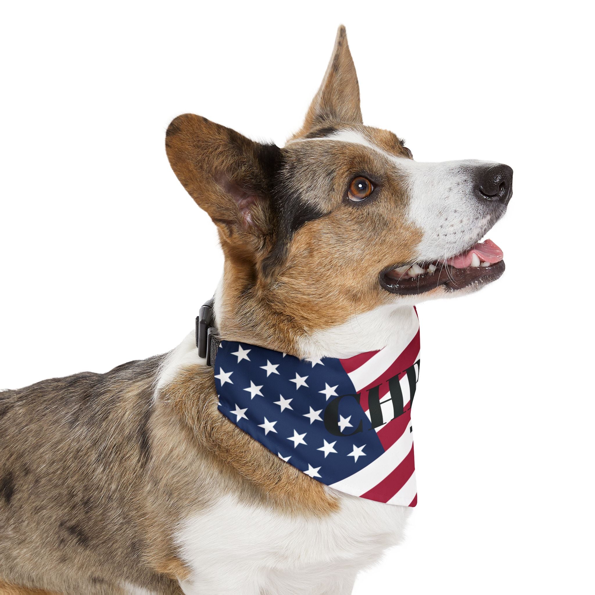 Patriotic Christian Pet Bandana Collar